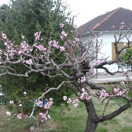 Apartamento Nada Trogir