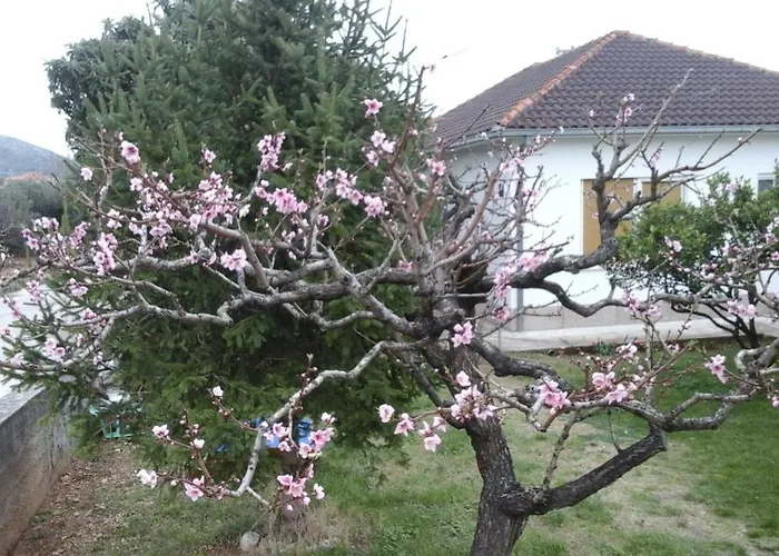 Appartement Nada Trogir